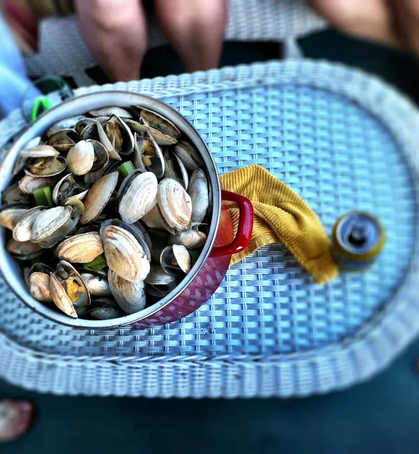 recept voor pilsschelpen' title='Waarom ik graag kook met pilsbier