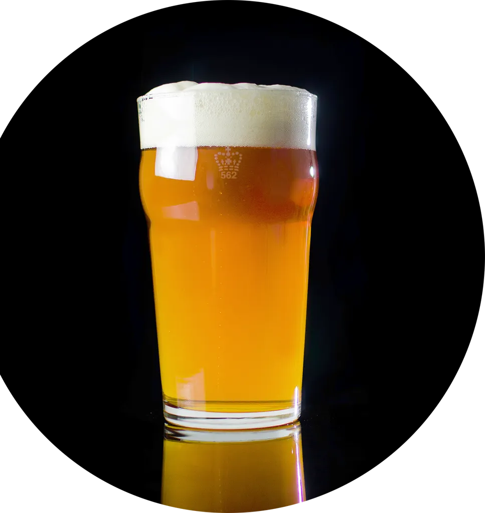 GEWELD' title='Friendsgiving bier- en spijscombinaties