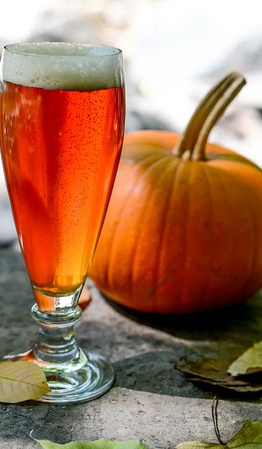 Farce à la citrouille' title='Farce de Thanksgiving et bière : 10 accords de partout au pays