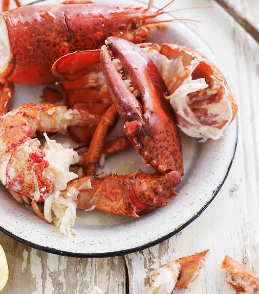 Lag øl for å mate din New England sjømatbesatthet' title='Lag øl for å mate din New England sjømatbesatthet