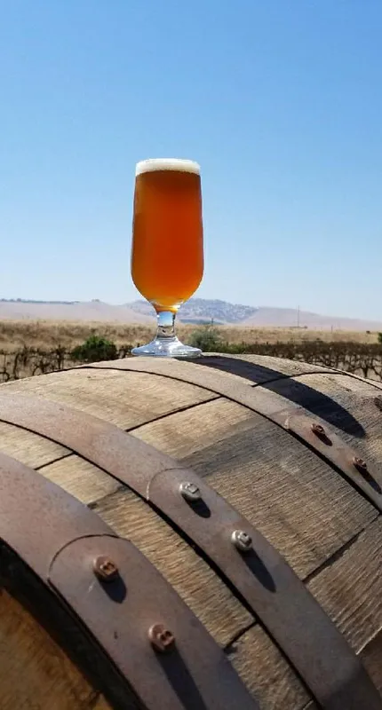 Rocky Hill' title='Bortgjemte Craft Breweries i Californias Central Valley