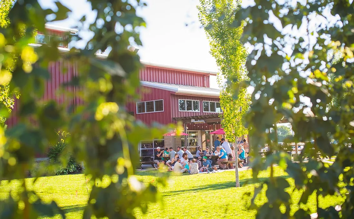 8 gårdsbryggerier å besøke i år