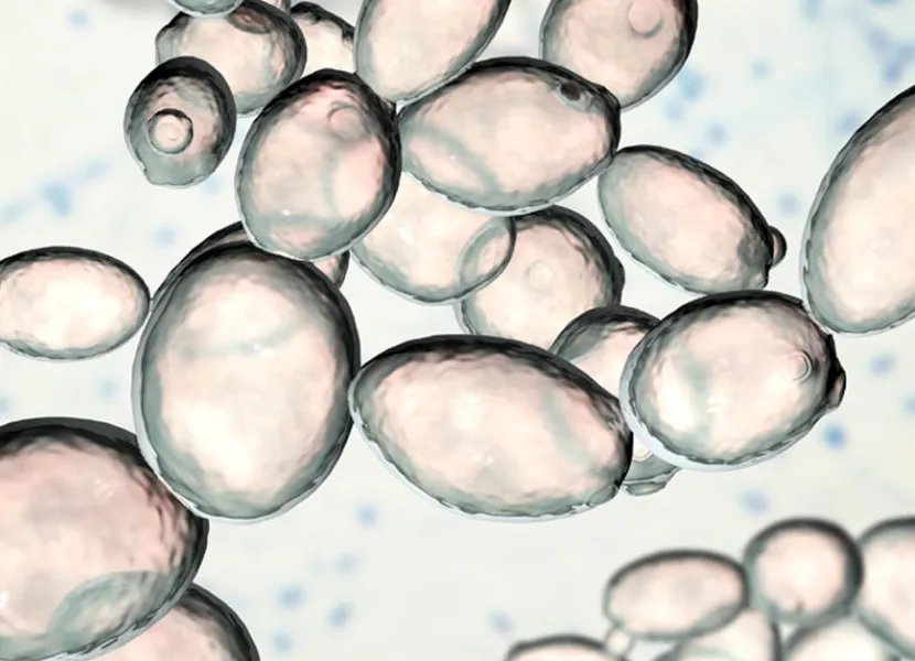 Jäst En romansk berättelse' decoding='async' title='Öl