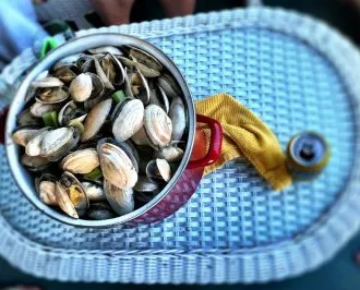 mosselen gemaakt met pils' decoding='async' title='Bier