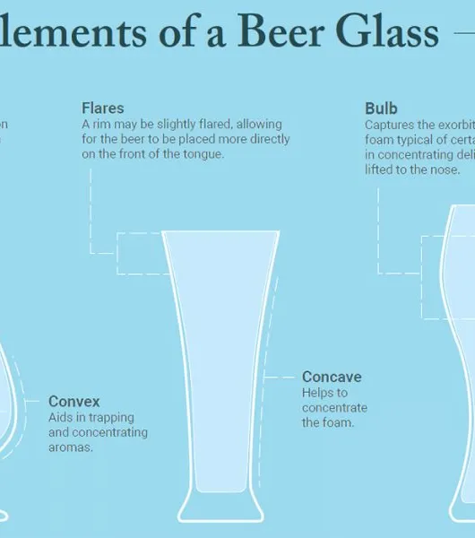 bierglas infographic' decoding='async' fetchpriority='high' title='Proefinstrumenten