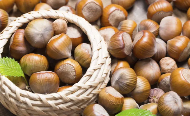 Craft-Brewers-Emracing-the-Nutella-Craze' title='Craft Brewers omfamnar Nutella Craze