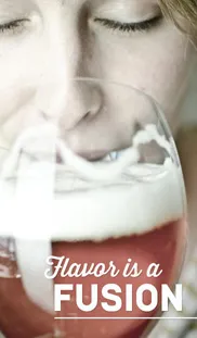 De fyra huvudsakliga smakupplevelserna av Craft Beer