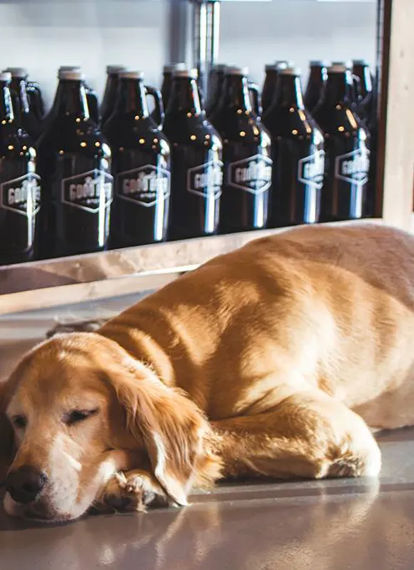 ジャクソンビルで訪れるべきビールの停留所 10 軒