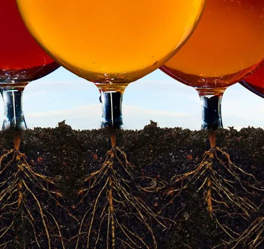 Le radici della produzione artigianale americana