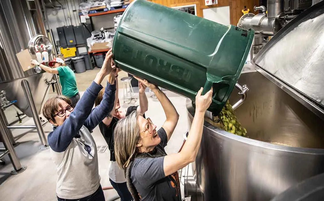 Het experimentell humle skapar övertygande smaker