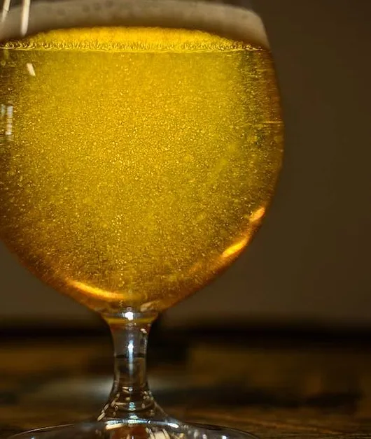 Beer Haze: claridad en un mundo turbio y al revés