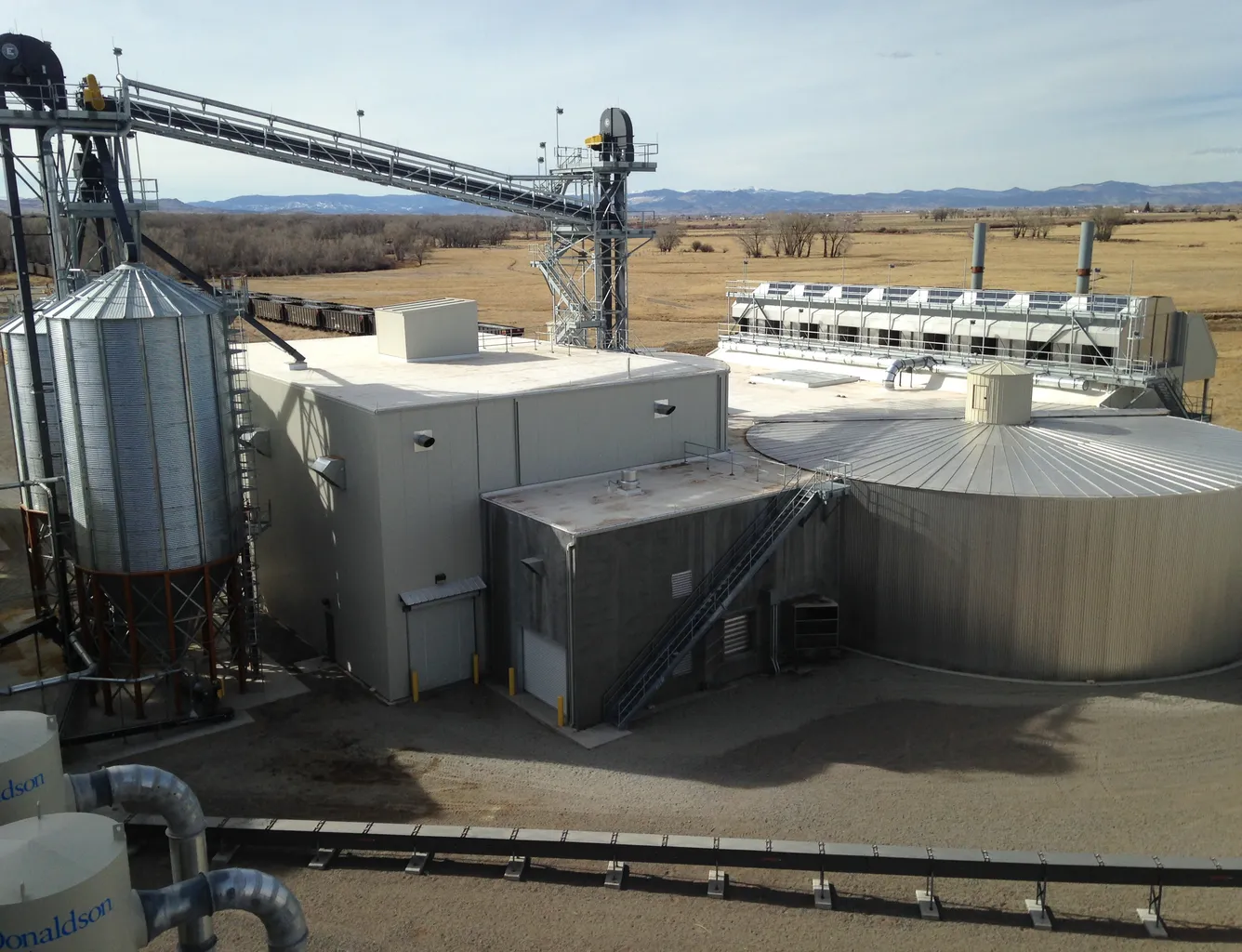 Proximity Malting erweckt eine alte Kartoffelpflanze mit viel Geschichte zu neuem Leben