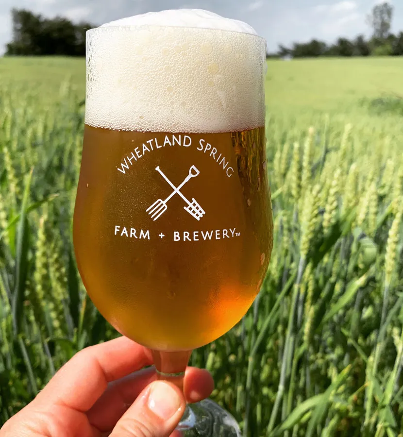 Wheatland Spring Farm és Sörfőzde' title='A közösség által támogatott sörfőzdék feltörekvő termése