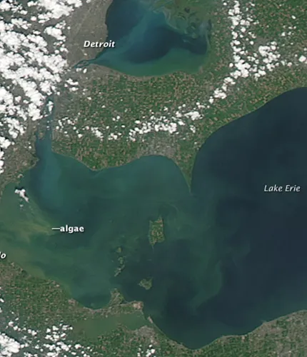 toledo alga sör' title='Nagy sör a Nagy Tavak és a kötözők