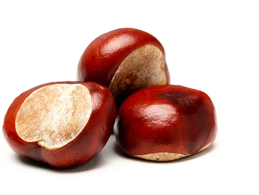 Kastanjer' title='Bryggerier blir nøtter og lager nøtteøl utover peanøttsmør