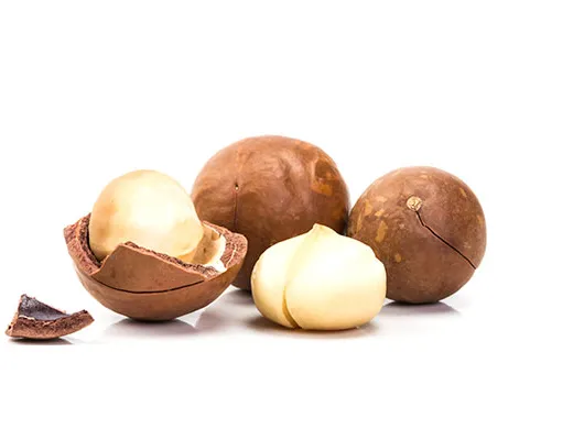 Macadamia' title='Bryggerier blir nøtter og lager nøtteøl utover peanøttsmør