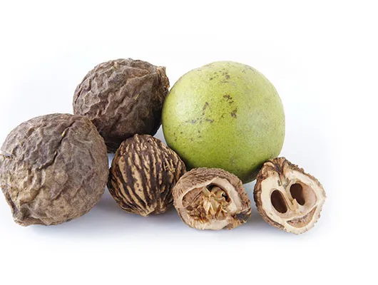 Svarte valnøtter' title='Bryggerier blir nøtter og lager nøtteøl utover peanøttsmør