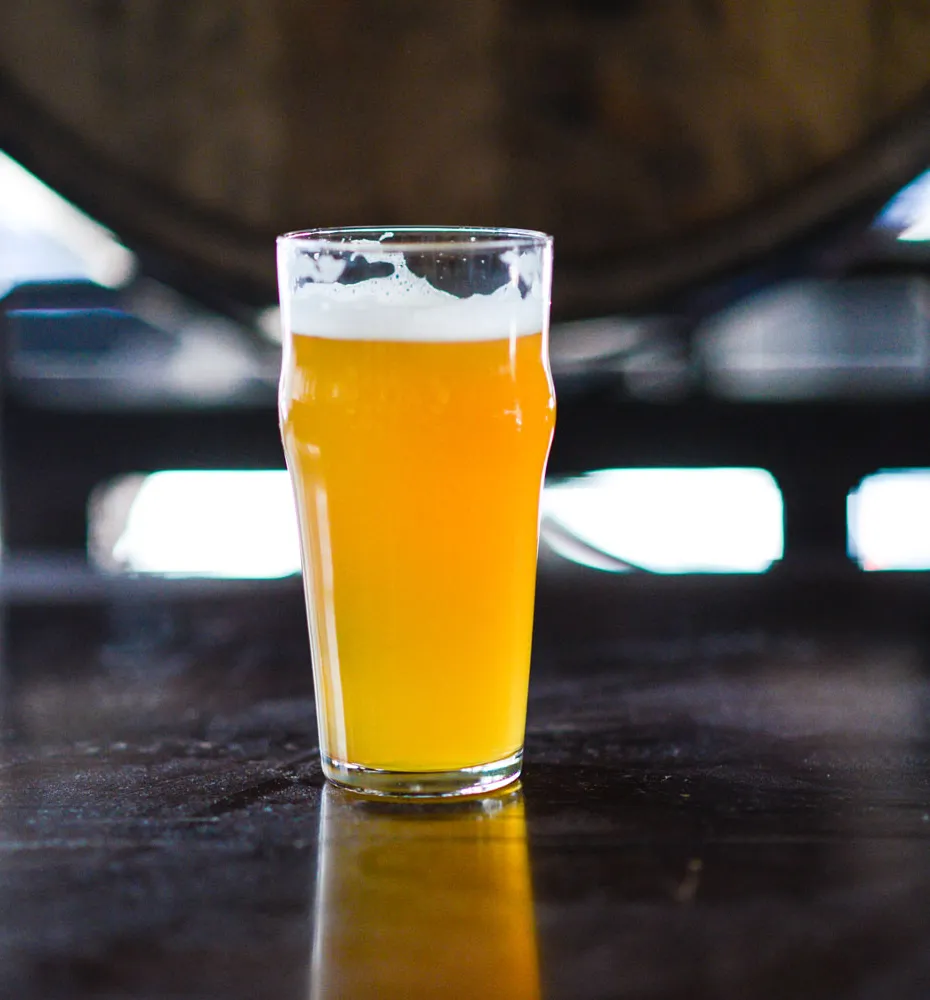 Qu'est-ce qui rend une bière aigre' title='Qu’est-ce qui donne un goût aigre à une bière aigre ?