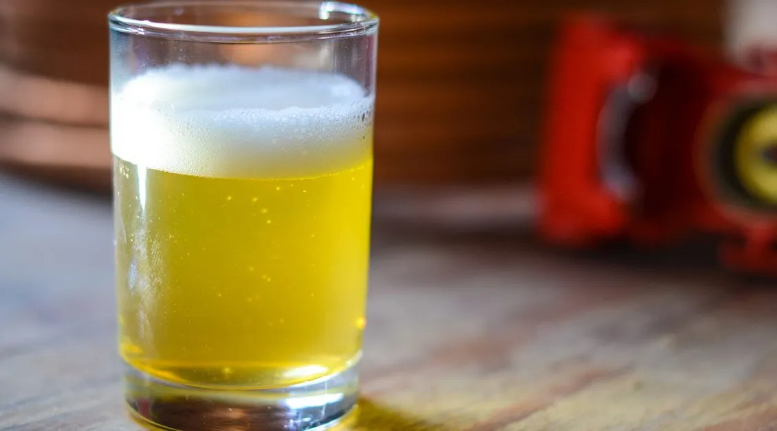 Florida Berliner Weisse: el champán del sur