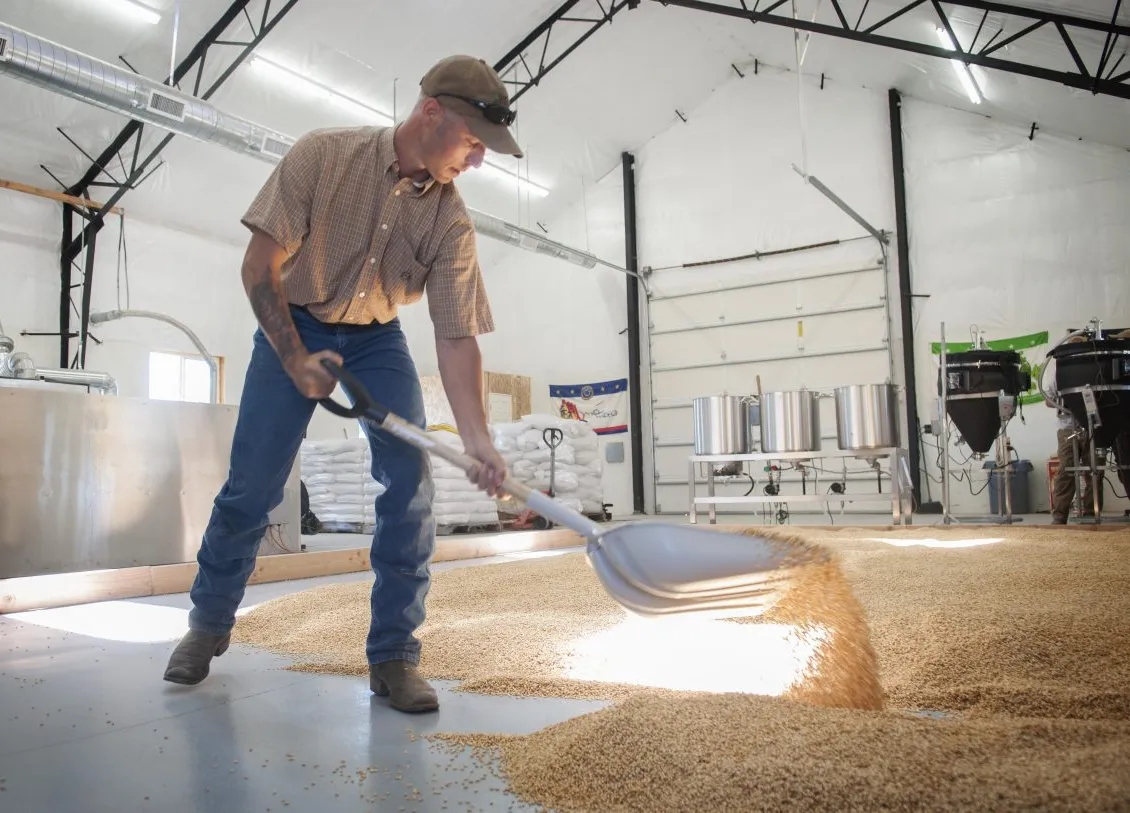 Rogue Floor Malting' title='Wie der Pilsner-Bierstil die Welt eroberte