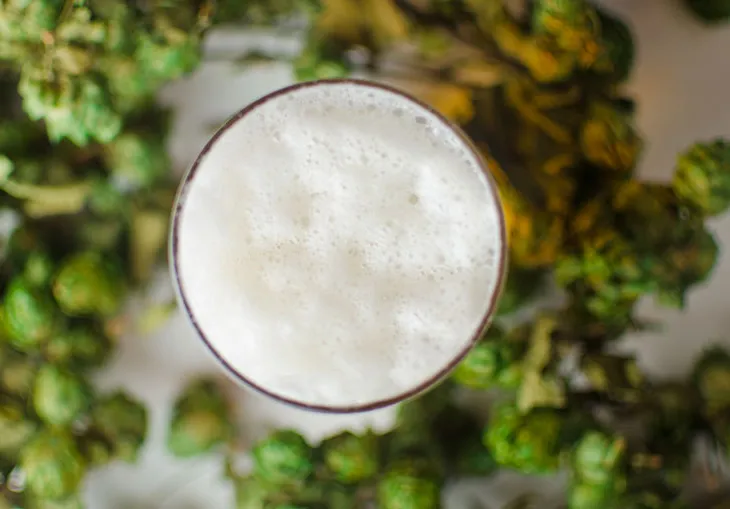 Haat hoppig bier' title='Ben je genetisch geprogrammeerd om hoppig bier te haten?