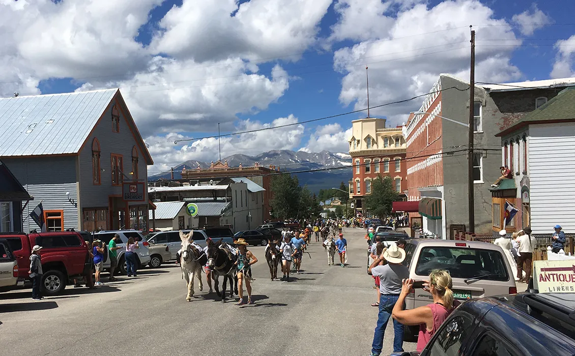 Die seltsame Wissenschaft des Höhenbrauens