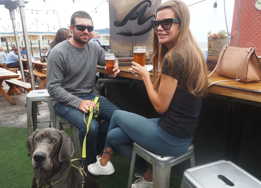 Amplified Aleworks' title='3 San Diego Beach Breweries du kommer att älska