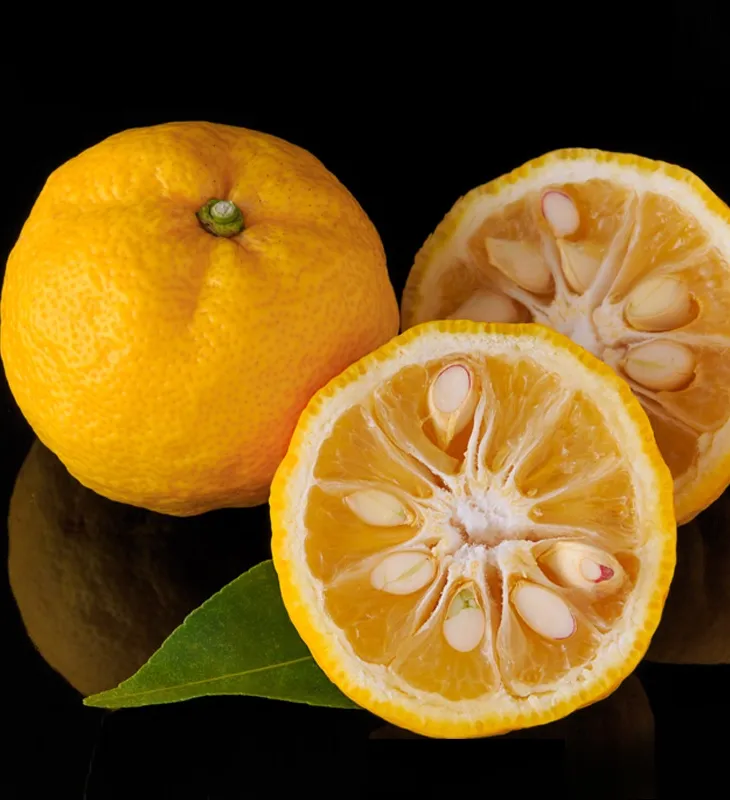 Yuzu-oluiden kesä' title='Yuzu-oluiden kesä: 9 kokeiltavaa ennen kuin ne loppuvat