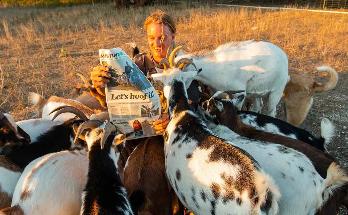 peppiga brygggetter' title='Boskap och lager: Bryggerier ökar djurens och jordbrukets medvetenhet