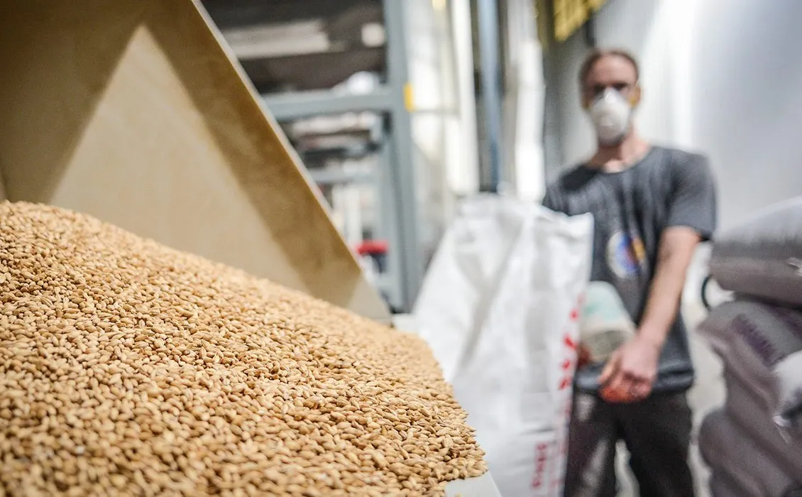 science du malt de bière' title='Percées dans la science derrière la saveur du malt