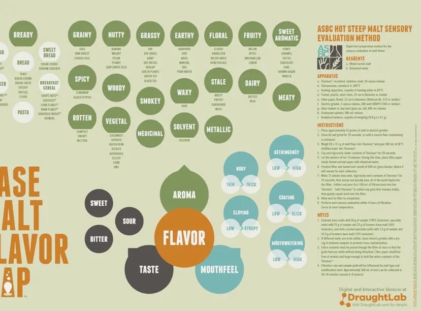 Carte des saveurs de malt de base' title='Percées dans la science derrière la saveur du malt