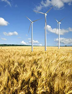 Yards Brewing Company | Philadelphia PA' title='Brygger för planeten