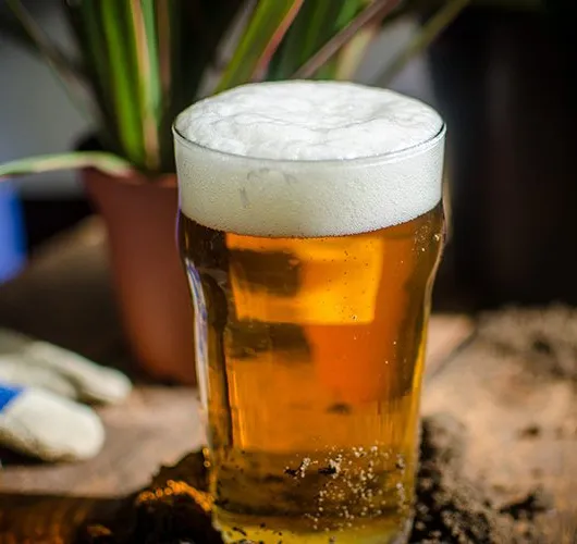 Brygger for planeten