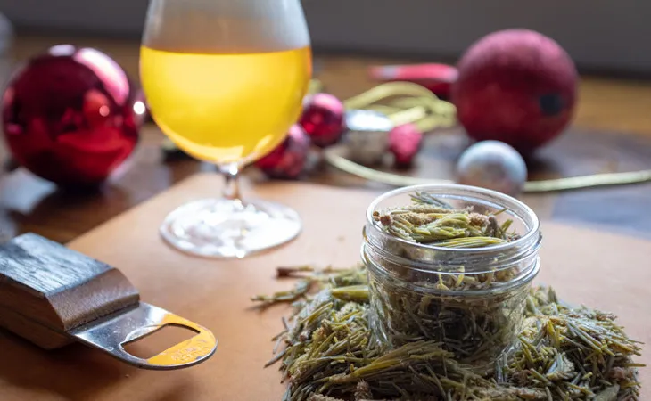 Zutaten für Winterbier' title='8 interessante Zutaten in Winter- und Feiertagsbieren