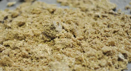 Bærekraftig bruk av brukt korn' title='Bærekraftig bruk av brukt korn