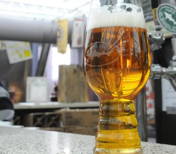 Sierra Nevada és Dogfish kézműves üveg komlófejekhez