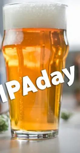 IPA 데이 서바이벌 가이드