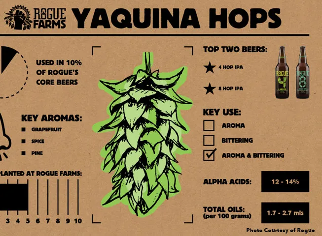 놀리는 홉' title='Rogue Farms는 산타의 작업장과 같지만 홉 애호가를 위한 곳입니다.