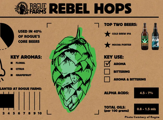 반란군' title='Rogue Farms는 산타의 작업장과 같지만 홉 애호가를 위한 곳입니다.