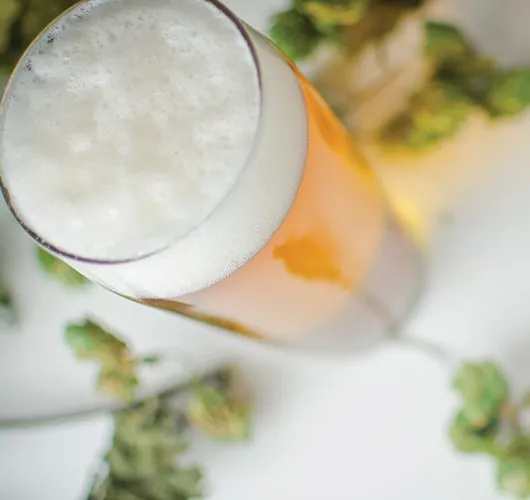 Frisches Hopfenbier: Das letzte echte Saisonbier