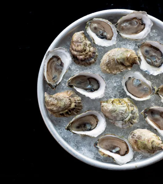Schüssel Austern auf Eis' title='Salzgehalt