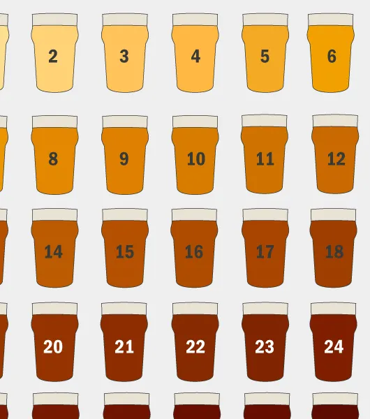 Scheda degustazione birra