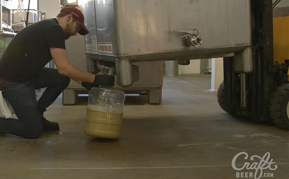 종분화 장인 에일: 양조장 없는 맥주 양조장