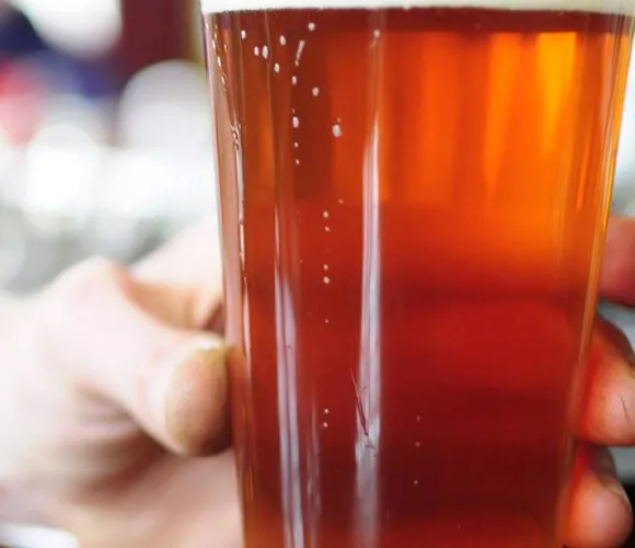 Elysian Brewing Company