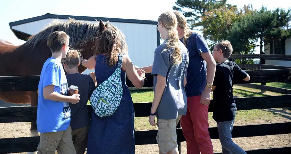 Stald Craft Brewing heste' title='En tur til Stald Craft Brygger det hesteanlæg, der er blevet omdannet bryggeri