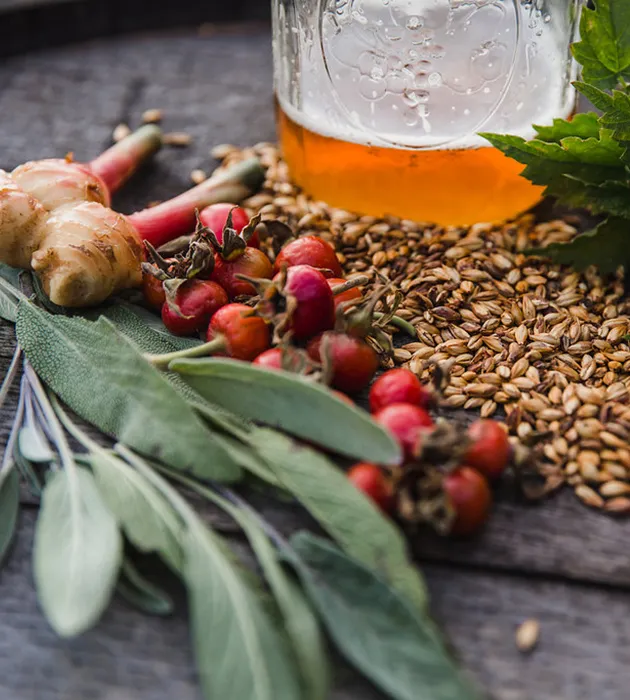 große Dornenfarm und Brauerei' title='Ihre Illinois Farm Brewery ist völlig netzunabhängig