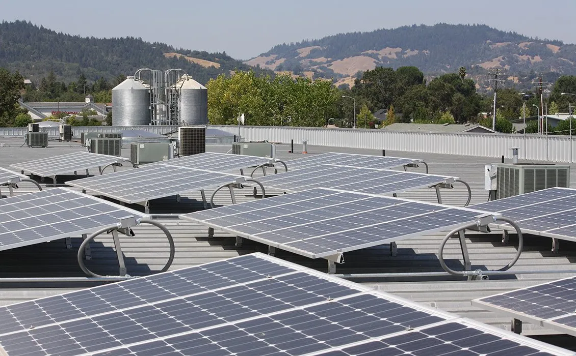 Cervecería Bear Republic' title='Bear Republic: elaboración de cerveza sostenible en el corazón de la región vinícola