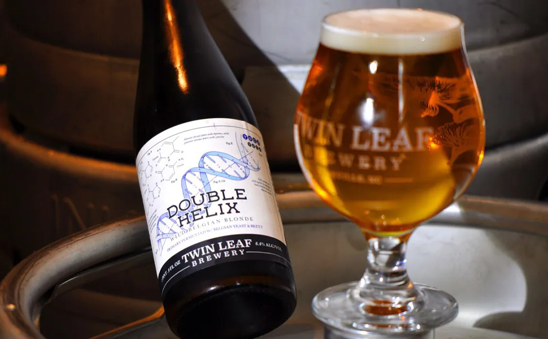 Bijen, ‘massale uitsterving’ en bier omdat in de Twin Leaf-brouwerij van Asheville