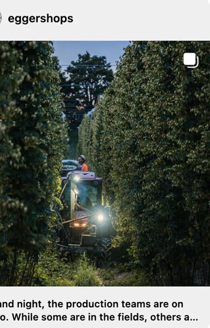 Eggers Hopfen im Feld' title='Erschließung des neuseeländischen Hopfen-Terroirs