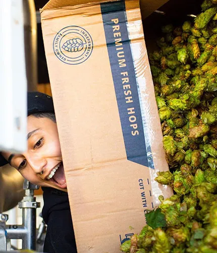 신선한 홉을 붓는 여자' title='지하실 사람에 대한 동정심